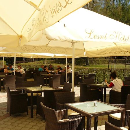 Lesni Hotel Perslak Nová Bystřice Eksteriør billede